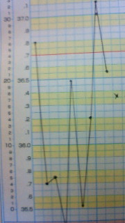 基礎体温がおかしい